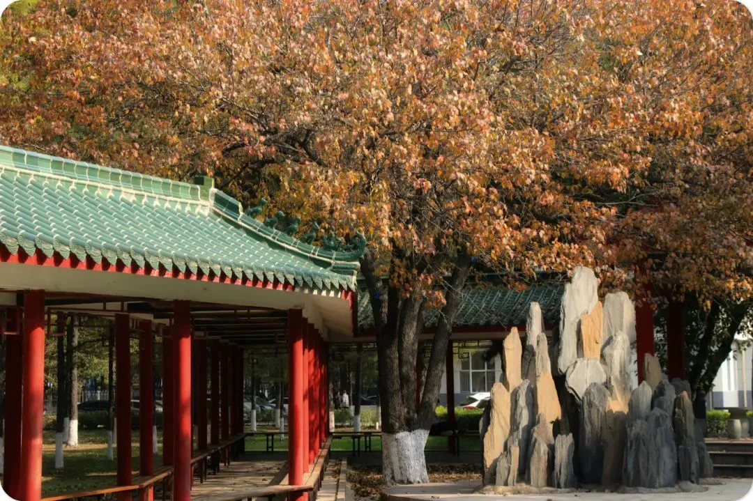 哪里可以找到篮球训练的模范案例_0